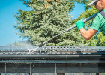 Gutter cleaning